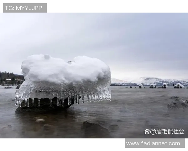 全球气候变化加剧极端天气频发 专家呼吁紧急应对气候行动